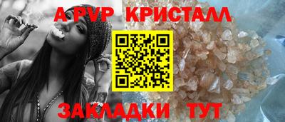 стаф Кингисепп