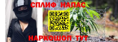 стаф Кингисепп