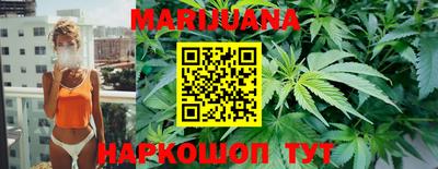 стаф Кингисепп