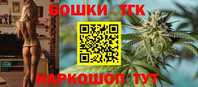 стаф Кингисепп