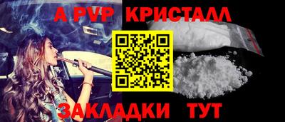 стаф Кингисепп