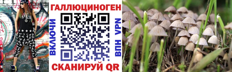 где купить наркоту  Нефтеюганск  Галлюциногенные грибы Cubensis 