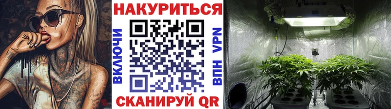 где купить   Нефтеюганск  Канабис Bruce Banner 